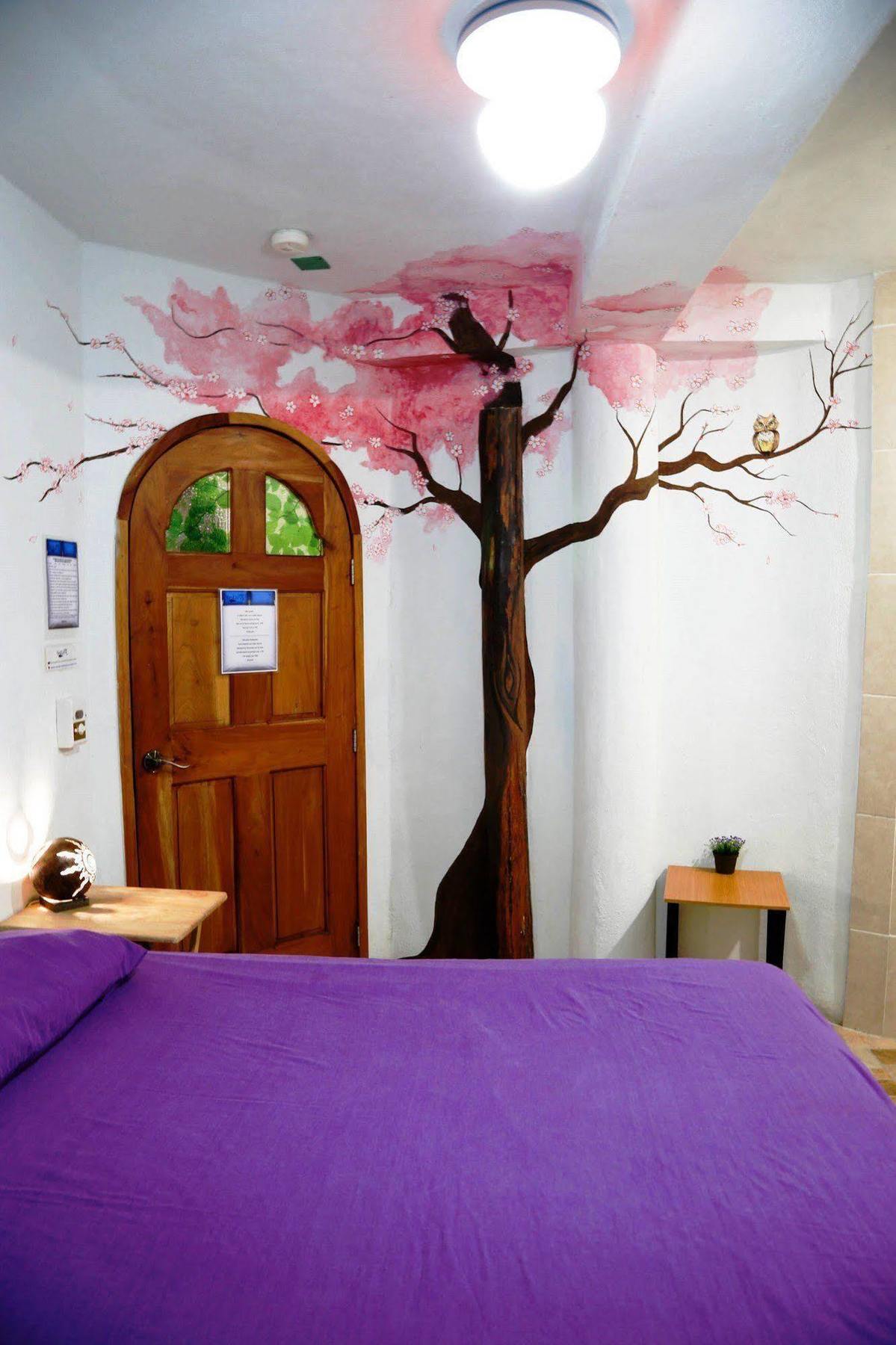 Hostel Natura Cancún Buitenkant foto